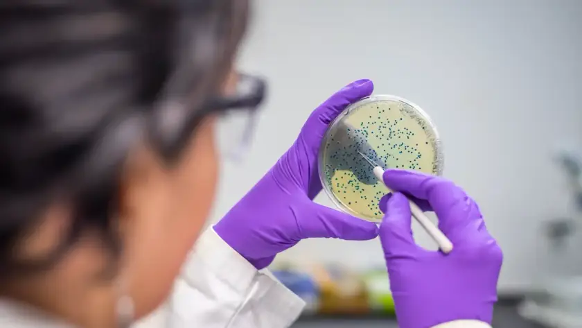 Microbiota intestinale e alimentazione: un legame vitale