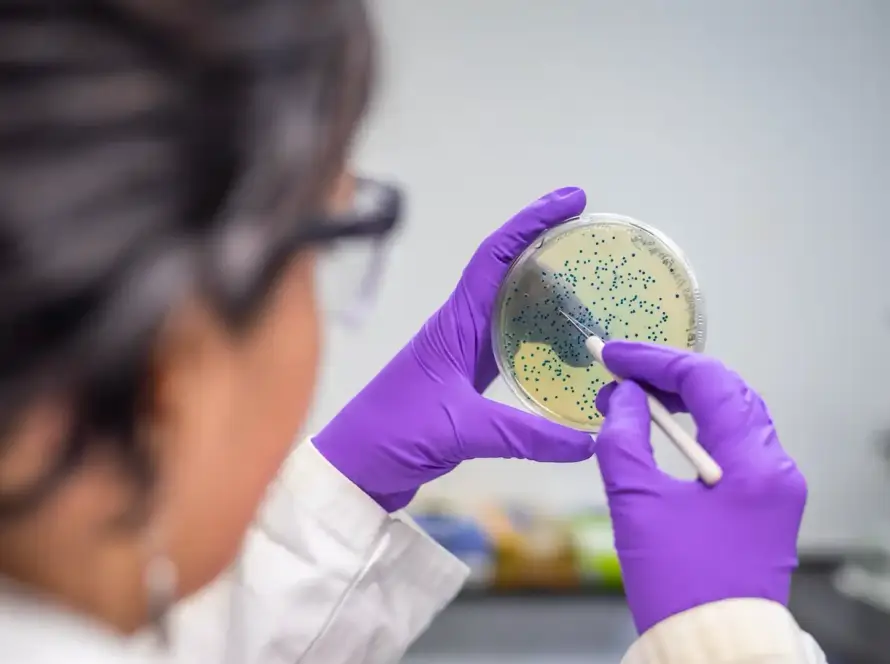 Microbiota intestinale e alimentazione: un legame vitale