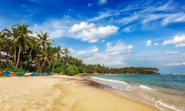 Viaggio in India – Cochin Varkala 