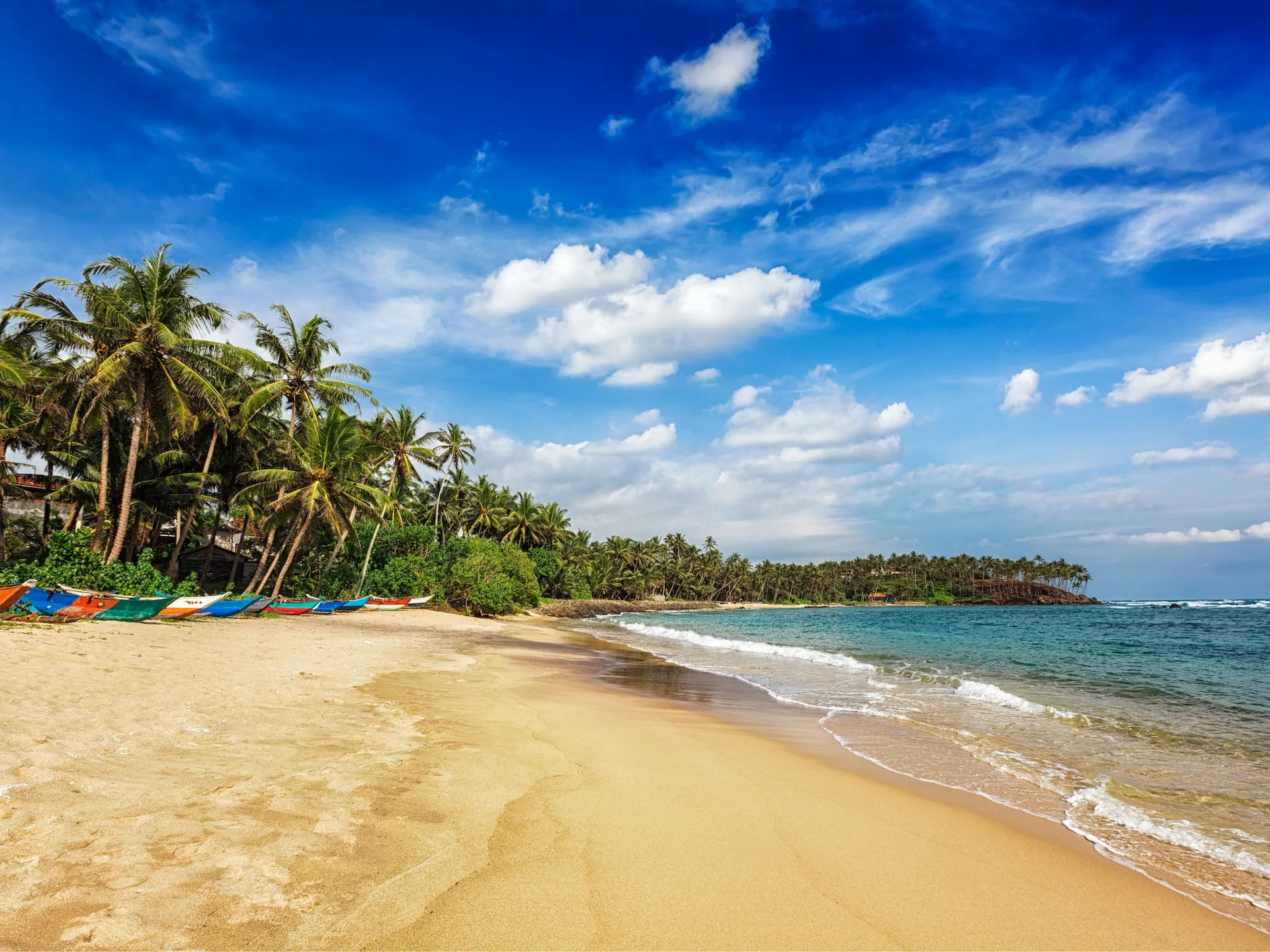 india cochin varkala