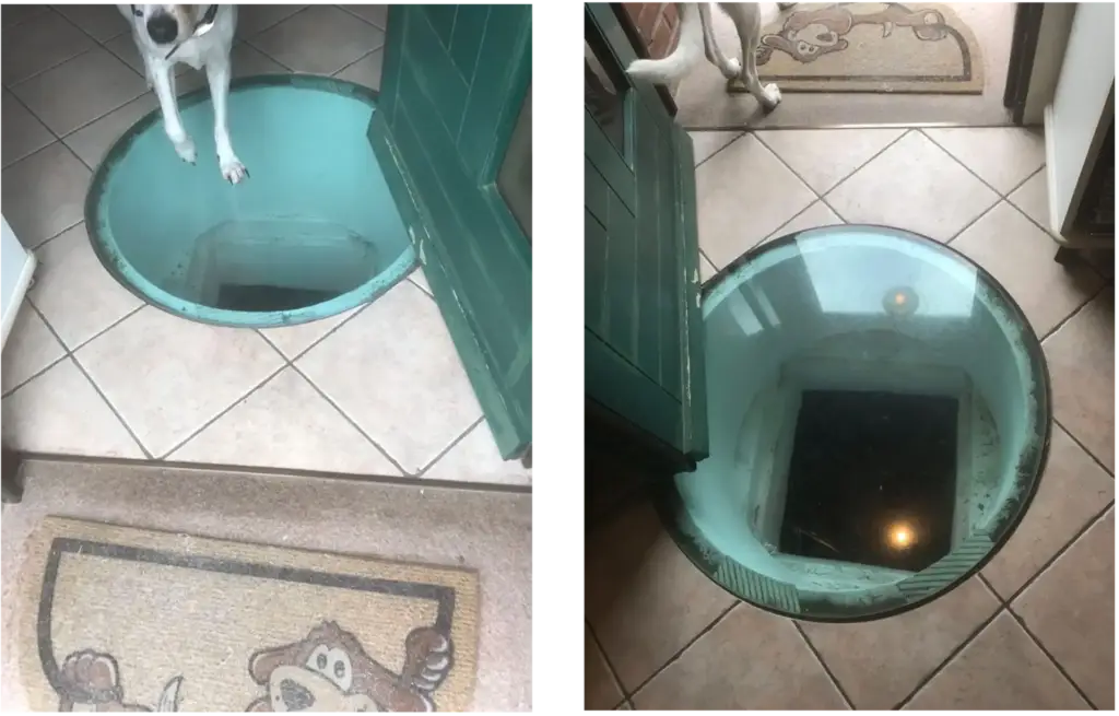 Cos’è il Feng Shui